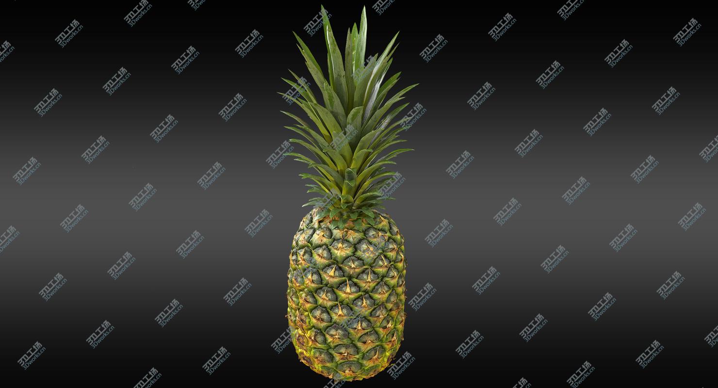 images/goods_img/20210319/Realistic Whole Pineapple 3D model/5.jpg